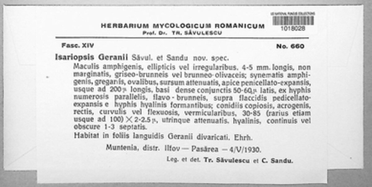 Isariopsis geranii image